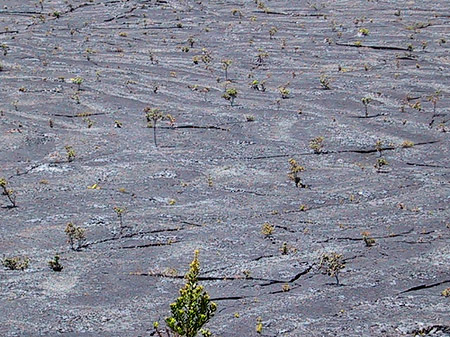 Fotos Erstarrte Lava | 