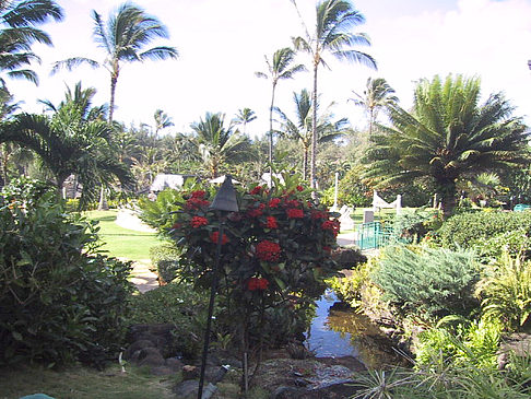 Foto Gärten auf Kauai - 