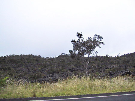 Hawaiis Straßenränder