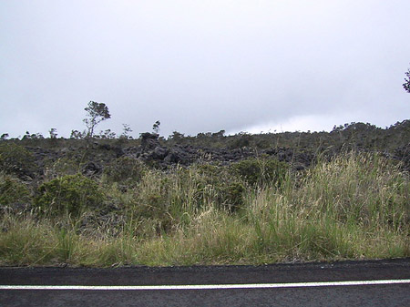 Foto Hawaiis Straßenränder - 