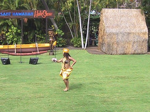 Hula Show Foto 