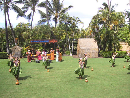 Hula Show Fotos
