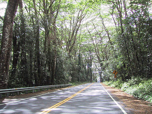 Straßen auf Hawaii Fotos
