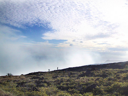 Foto Trockene Landschaft - 